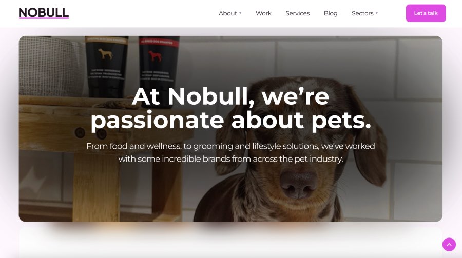 NoBull Best Pet Marketing Agency Top Digital Services Agencies for Pets Stores