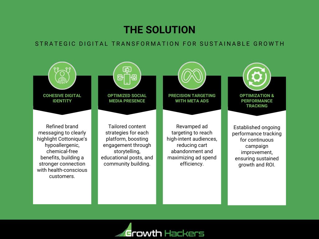 The Solution - Strategic Digital Transformation for Sustainable Growth
